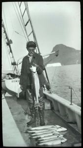Image of Caught on the Fly, Labrador